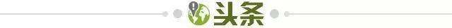 世界杯高清观看-【早报】东奥代表团双旗手出炉!朱婷成首位女旗手!